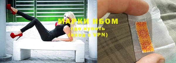 индика Балабаново
