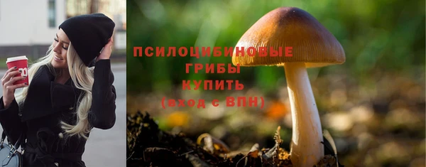 МДПВ Балахна