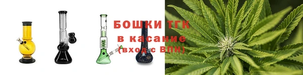 индика Балабаново