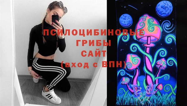 индика Балабаново