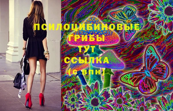 МДПВ Балахна