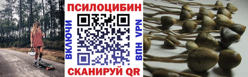дарнет шоп  Ленск  Псилоцибиновые грибы GOLDEN TEACHER 